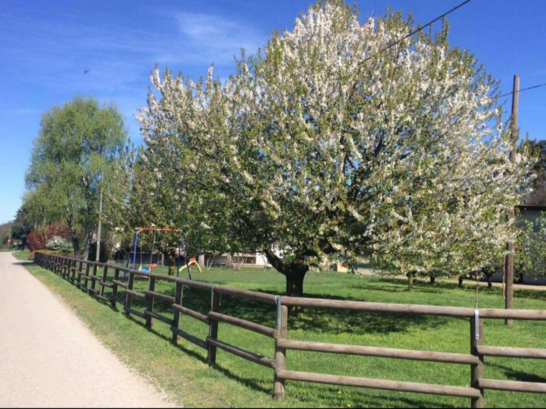 Azienda Agrituristica Scotti سوما لومباردو المظهر الخارجي الصورة