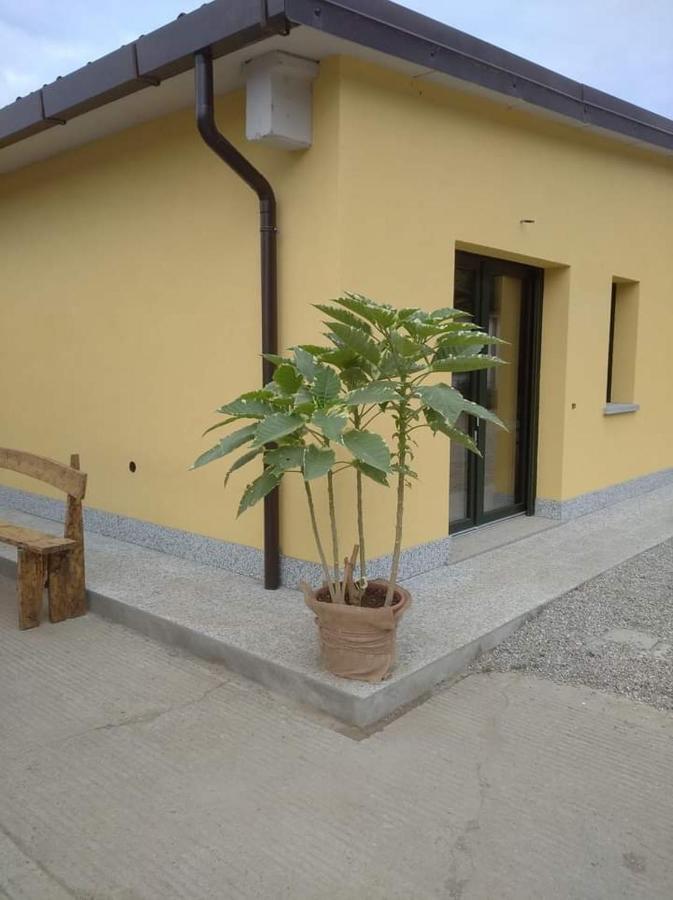 Azienda Agrituristica Scotti سوما لومباردو المظهر الخارجي الصورة
